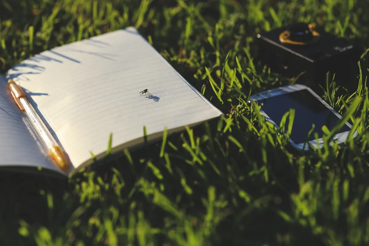 A Beginner's Guide to Submitting Nature Writing to UK Magazines and Anthologies